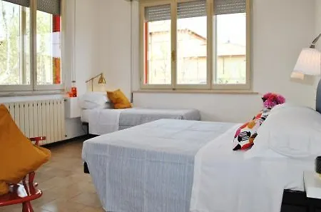 Mimosa Rimini