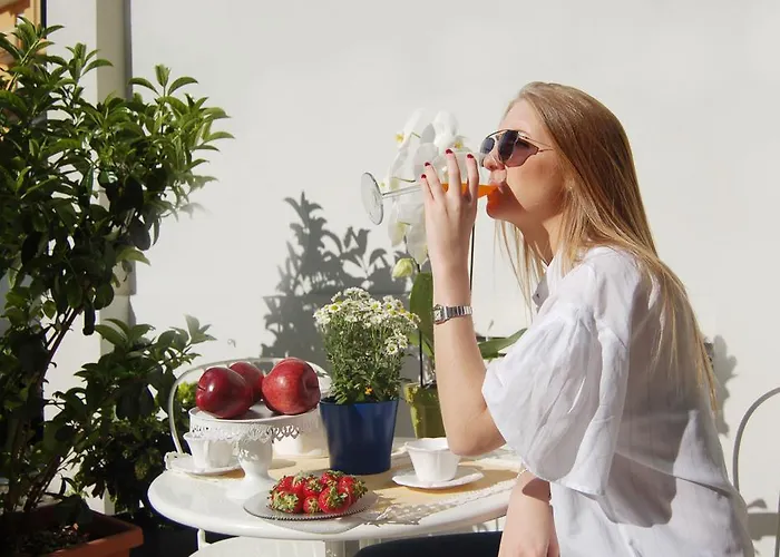 Mimosa 아파트호텔